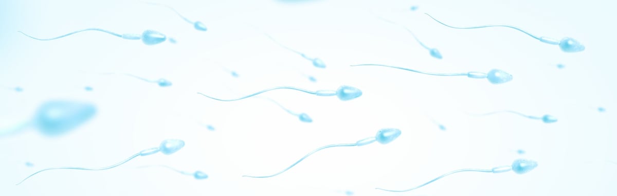  Illustration von Samenzellen