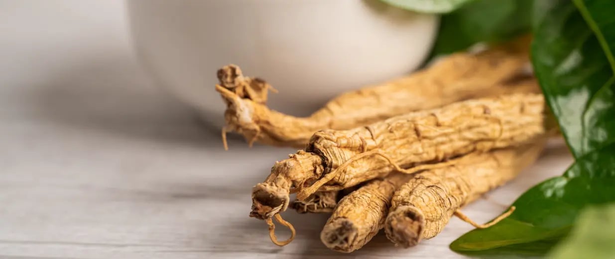 Raiz de ginseng sobre superfície com folhas verdes
