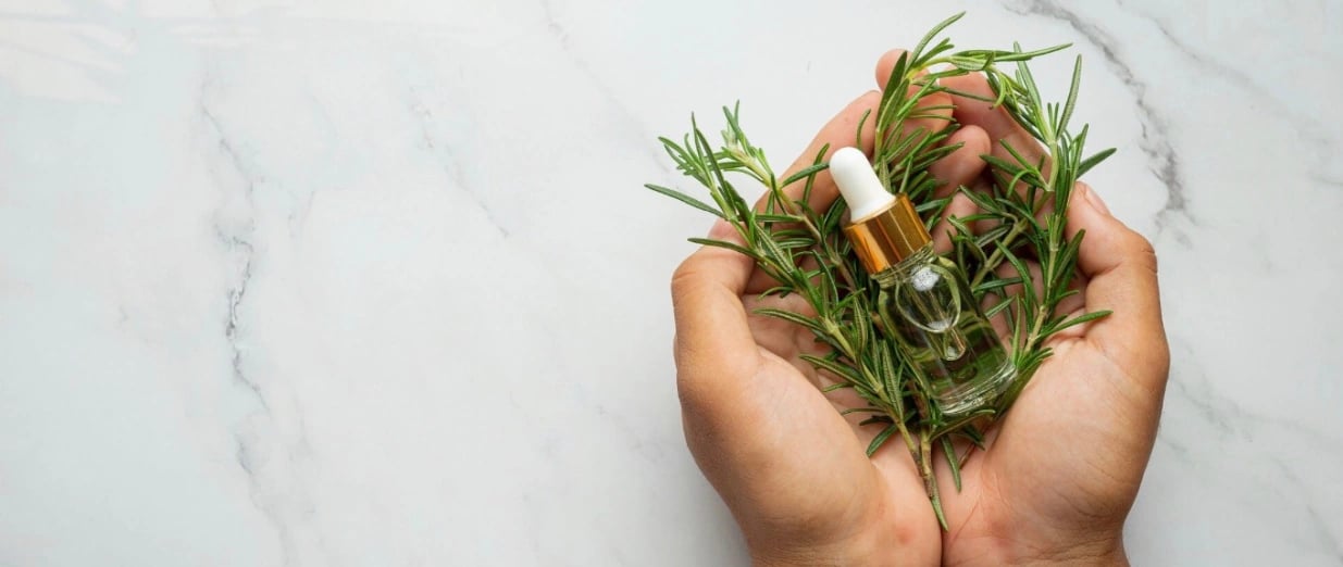 Deux mains tenant des herbes m&eacute;dicinales