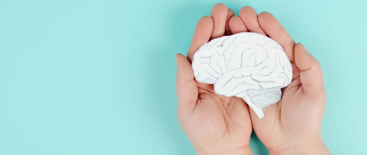 Mains tenant un mod&egrave;le de cerveau sur fond bleu