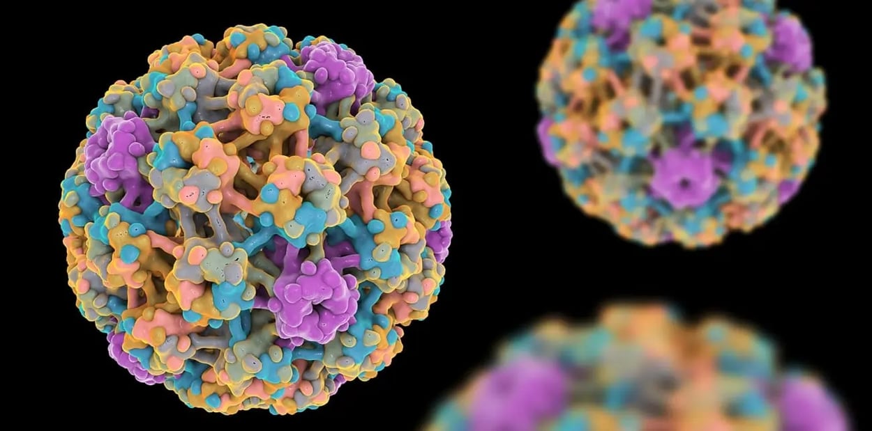 HPV-Zellen
