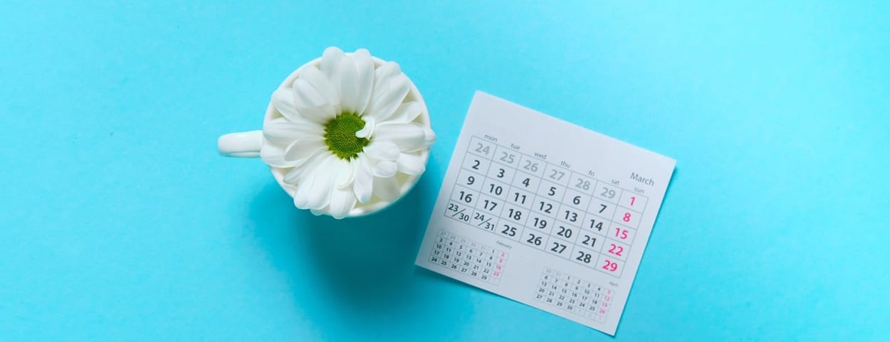 Weiße Blume in einer Tasse mit einem Zykluskalender