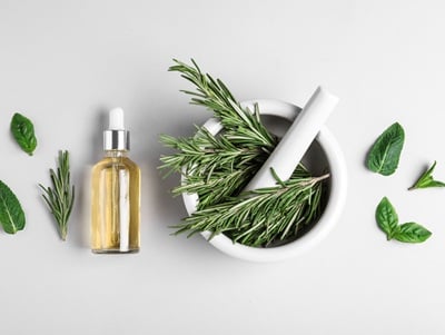 Rosmarin-Kräuter und -Öl als Hausmittel gegen Haarausfall