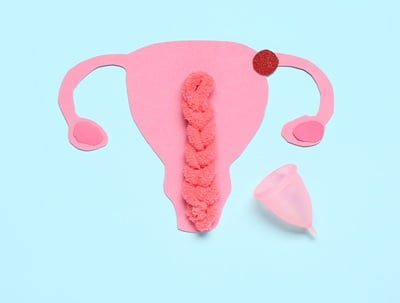 Gebärmutter aus Papier und Menstruationstasse