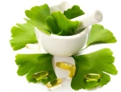 Blätter und Kapseln von Ginkgo biloba natürliches Potenzmittel