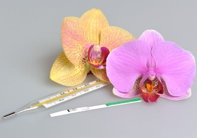 Quecksilberthermometer und Ovulationstest mit zwei Orchideenblüten