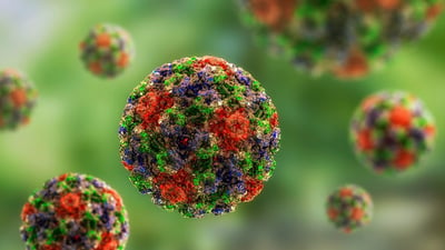 Ein Bild von HPV-Viruszellen