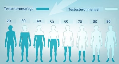 Gradueller Rückgang des Testosterons im Körper des Mannes