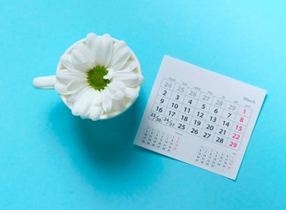 Weiße Blume in einer Tasse neben einem Zykluskalender